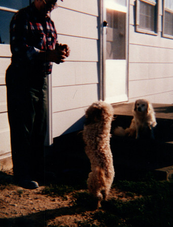 Bradley Family2_0134