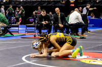 2025.02.27 MSHSAA Wrestling Semis and Wrestlebacks-7