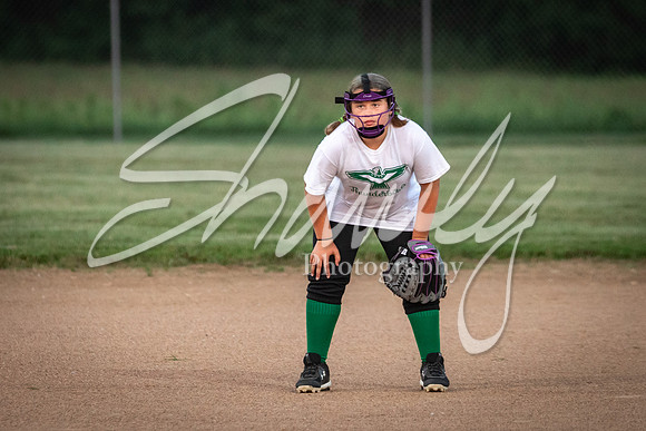 2021.07.08 N. Callaway Softball Vs. Harrisburg00287