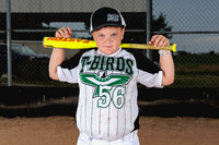 Durlin-2