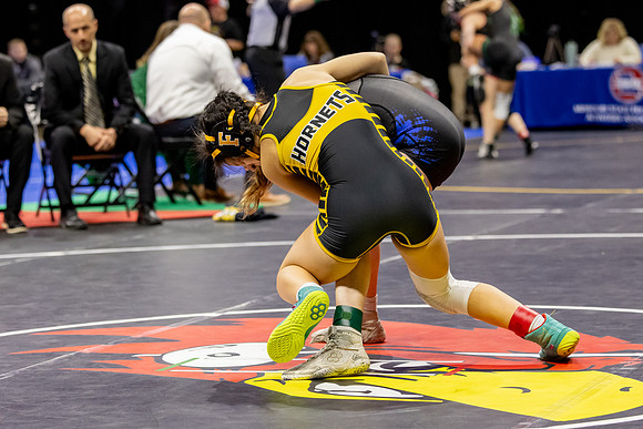 2025.02.27 MSHSAA Wrestling Semis and Wrestlebacks-6