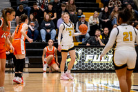 2025.02.14 FHS Girls Basketball Vs. Kirksville-9