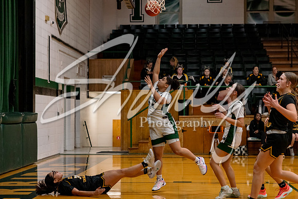 2024.12.16 NCHS Ladybirds Basketball Vs. Van-Far-51