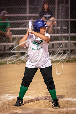 2021.07.08 N. Callaway Softball Vs. Harrisburg00967