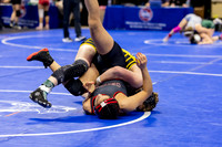 2025.02.27 MSHSAA Wrestling Semis and Wrestlebacks-17