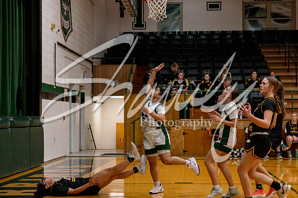 2024.12.16 NCHS Ladybirds Basketball Vs. Van-Far-52