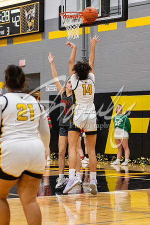 2024.12.10 FHS Girls Basketball Vs. Hannibal-58