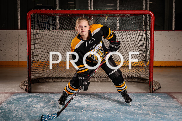 Mid-Mo Tigers Hockey-18