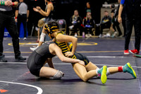 2025.02.27 MSHSAA Wrestling Semis and Wrestlebacks-1