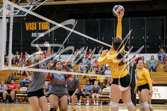 2022.09.19 FHS Volleyball Vs. Mexico3876